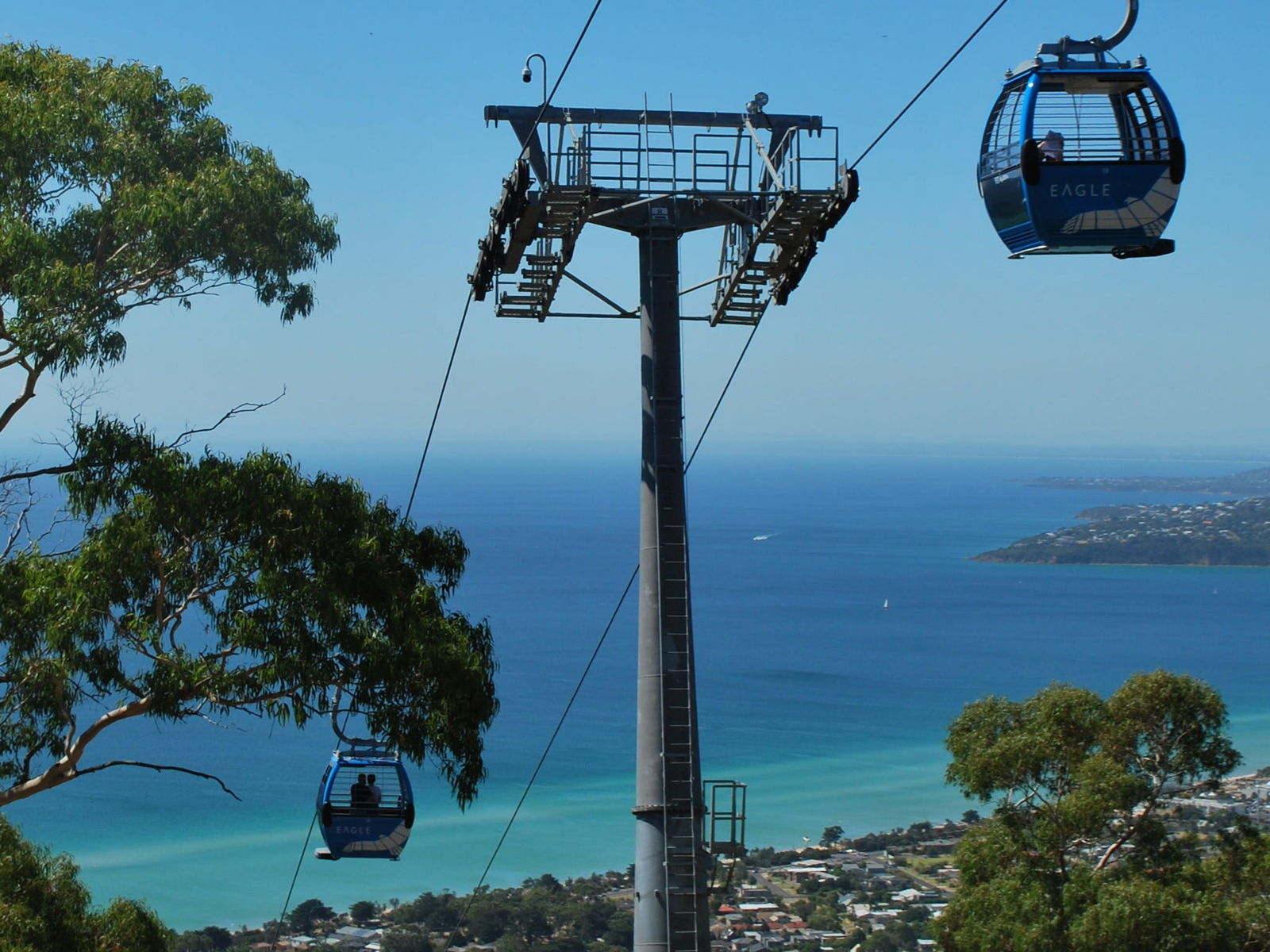 Arthurs Seat Eagle Logo and Images