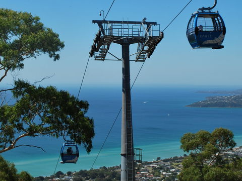 Arthurs Seat Eagle - Sunshine Coast Guide 2