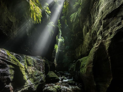 Blue Mountains Heritage Centre And Virtual Reality Experience - Kawana Tourism 0