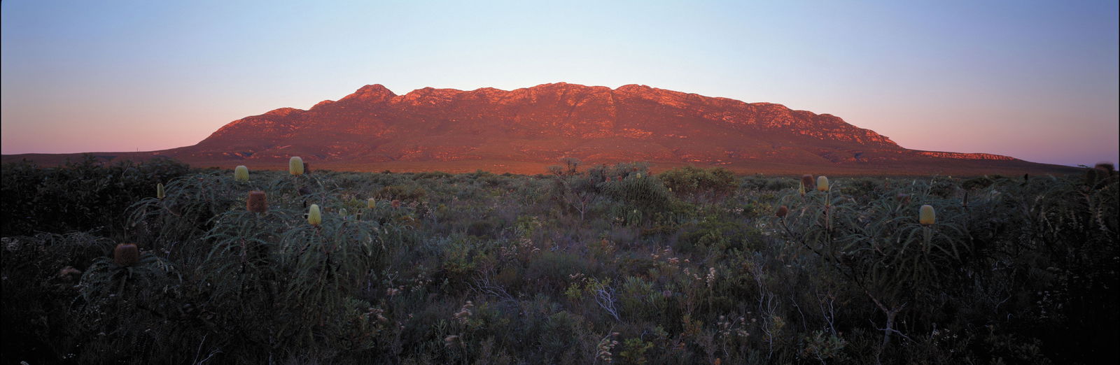 Cape Arid National Park Logo and Images