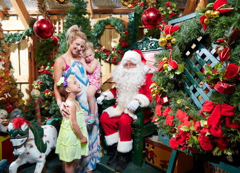 Christmas Tree Farm - Accommodation in Surfers Paradise 2