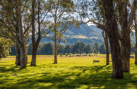 Coast To The Highlands Scenic Drive – Kangaroo Valley - Broome Tourism 0