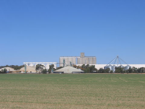 Co-operative Bulk Handling (CBH) Wheat Storage And Transfer Depot - Attractions Perth 1