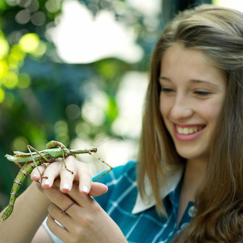 CSIRO Discovery Centre - Sunshine Coast Guide 1