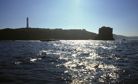 Eagle Rock Marine Sanctuary - Attractions Perth 2