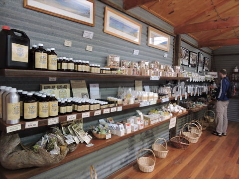Emu Ridge Eucalyptus Pty Ltd - Holiday Jervis Bay 0