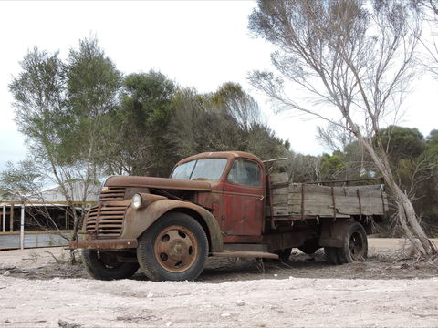 Emu Ridge Eucalyptus Pty Ltd - Holiday Jervis Bay 2