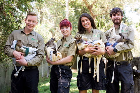 Featherdale Wildlife Park - Broome Tourism 0