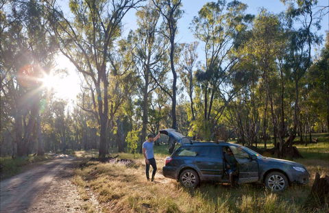 Forest Drive, Murrumbidgee Valley National Park - Accommodation Broken Hill 0
