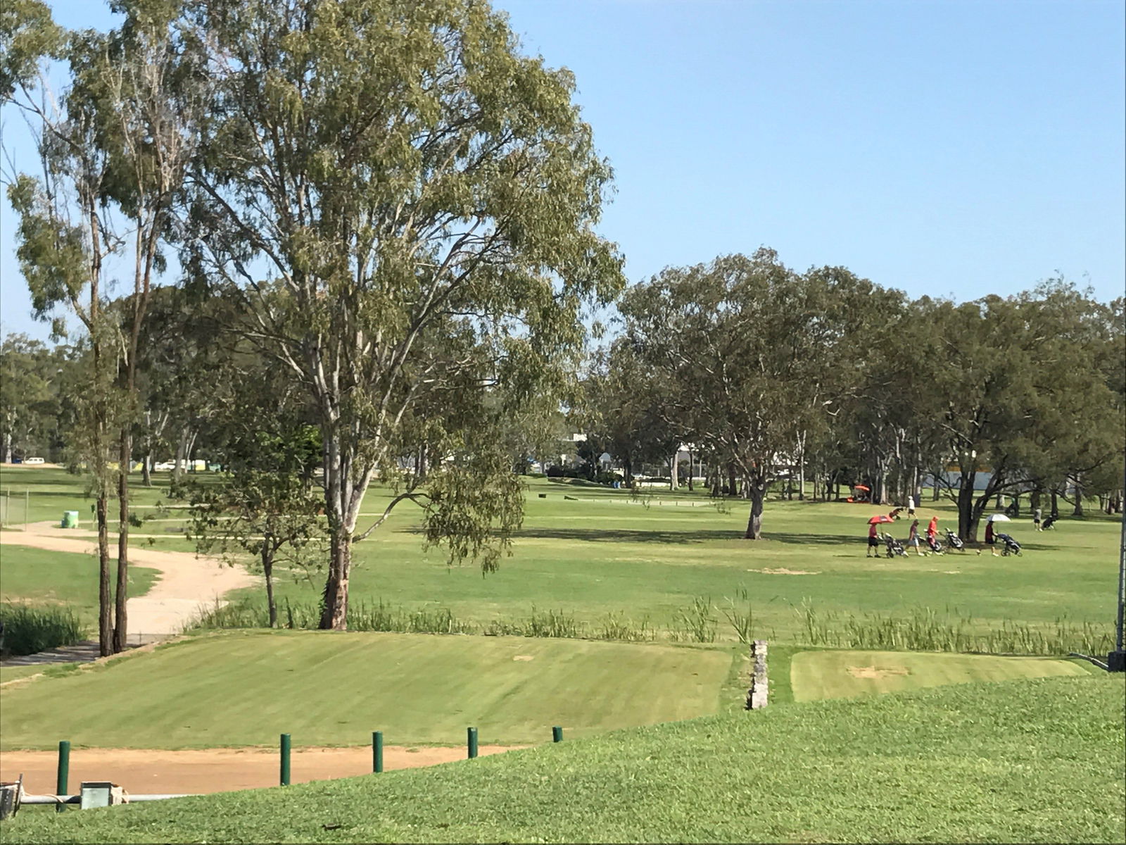Gladstone Golf Club Logo and Images