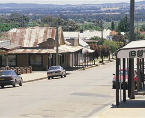 Gulgong Symbol Trail - Wagga Wagga Accommodation 0
