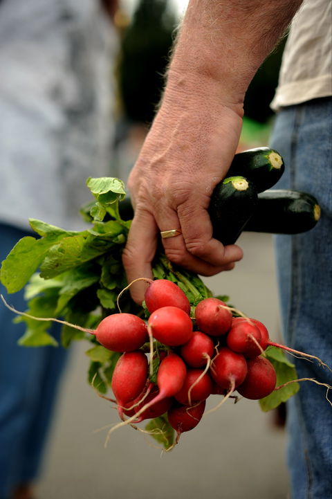 Harvest Launceston Community Farmers' Market - Accommodation Directory 1