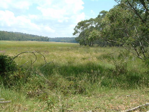 Hume And Hovell Walking Track - Accommodation Newcastle 2
