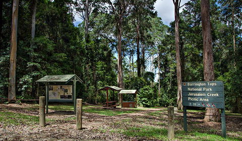 Jerusalem Creek Picnic Area - Accommodation Hamilton Island 0