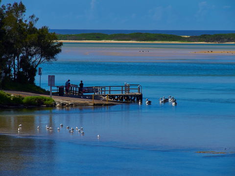 Kayaking Tuross Lake - Accommodation Newcastle 1