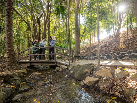 Kholo Gardens Trails - Accommodation Brisbane 1