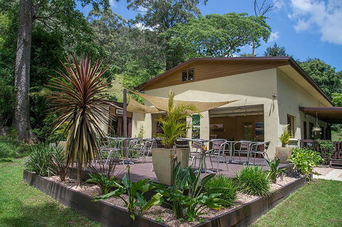 Kramer Photography Rainforest Gallery - Accommodation NT 2
