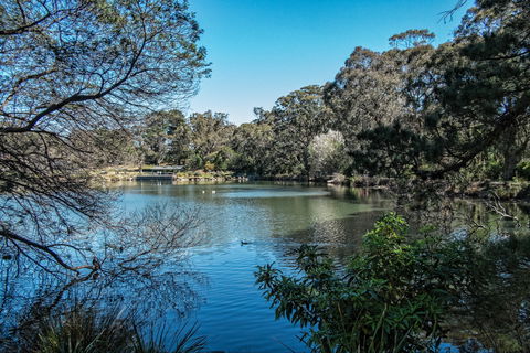 Lake Alexandra Reserve - New South Wales Tourism  1