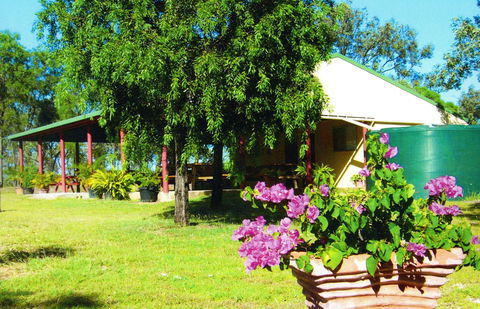 Miners Heritage Walk-In Mine - Wagga Wagga Accommodation 0