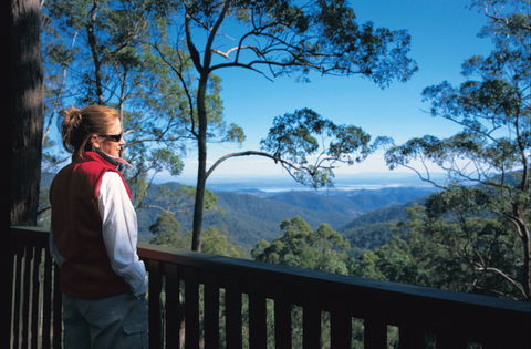 Mount Glorious - Accommodation Airlie Beach 1