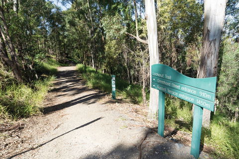 Mt Coot-tha Tourist Drive - Lightning Ridge Tourism 0