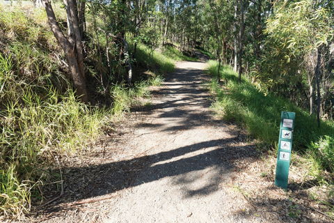Mt Coot-tha Tourist Drive - Lightning Ridge Tourism 2