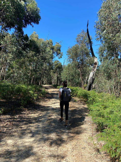 Mt Everard Circuit - Accommodation Brisbane 0