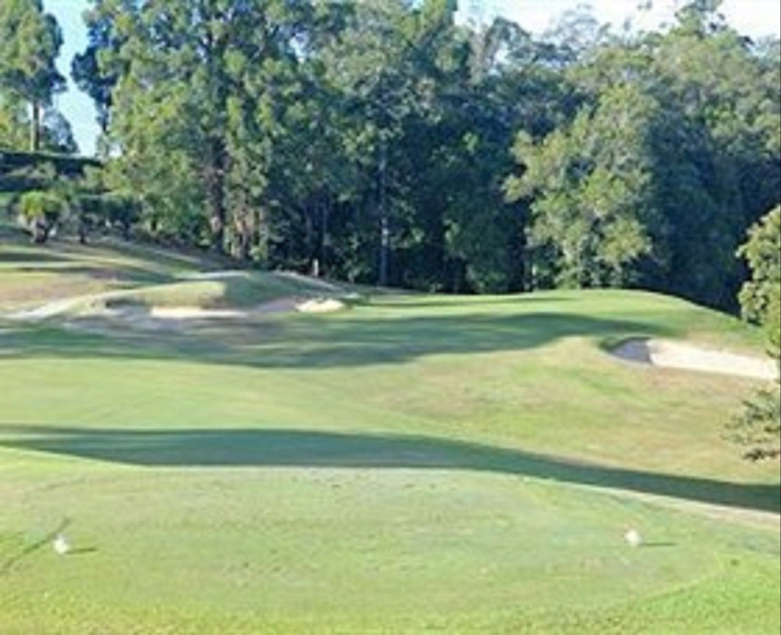 Murwillumbah Golf Club Logo and Images