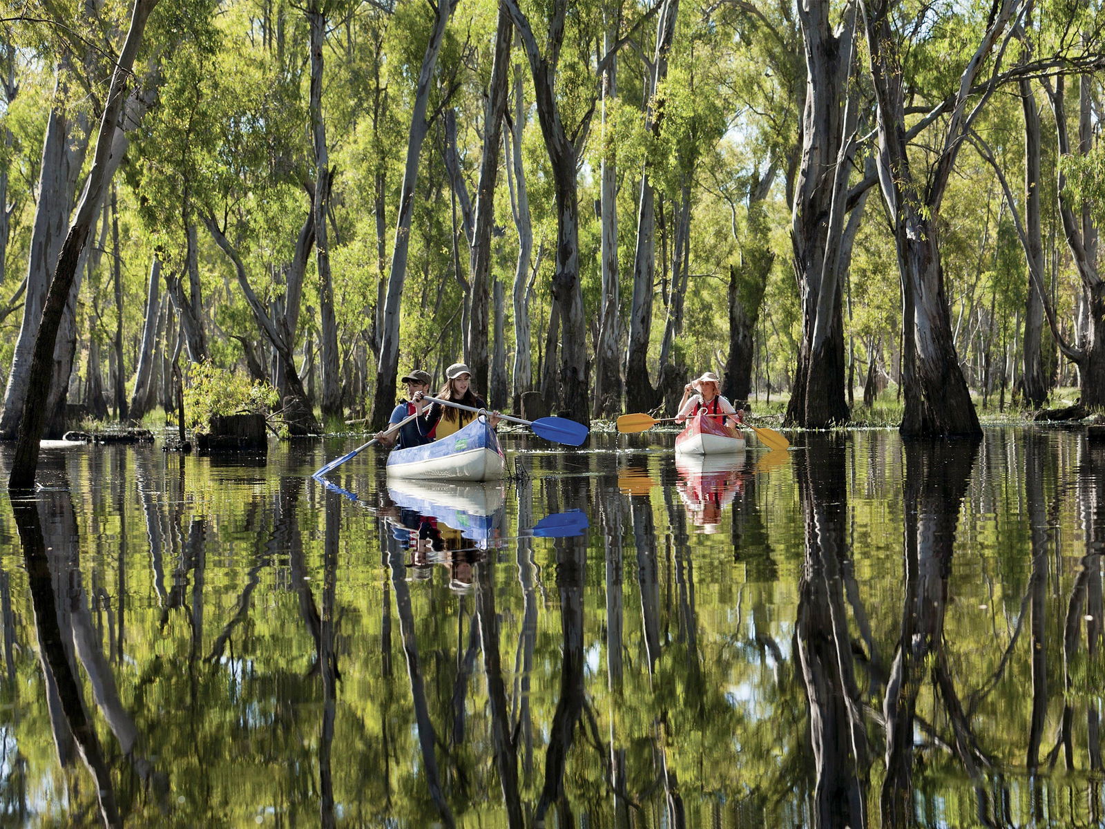 Warragoon NSW WA Accommodation