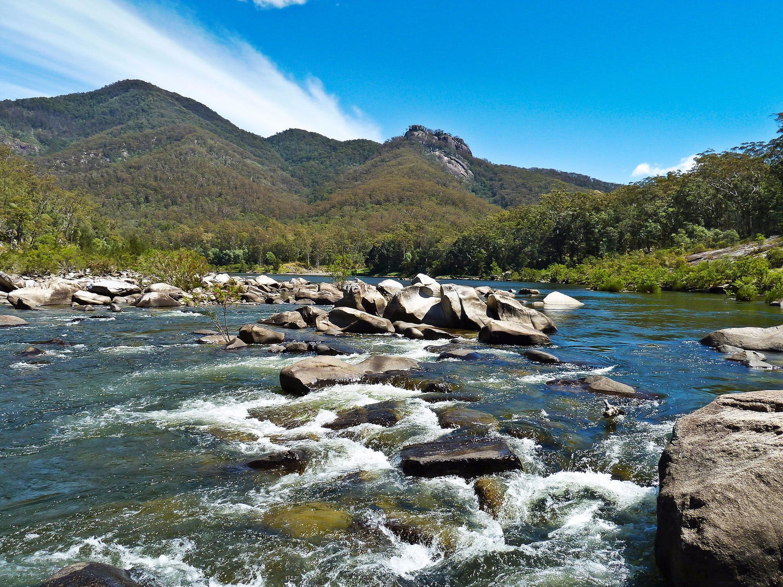 Nymboida River Logo and Images