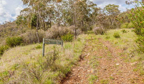 Old Mountain Road Walking Track - Attractions 0