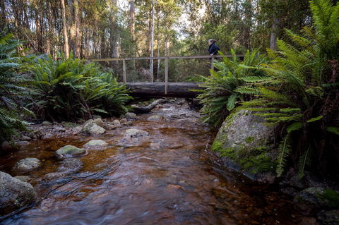 O'Neills Creek Picnic Reserve - Yamba Accommodation 0
