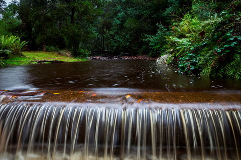 O'Neills Creek Picnic Reserve - Yamba Accommodation 1