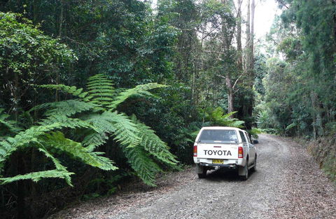 Orara Escarpment 4WD Touring Route - Accommodation Ballina 1