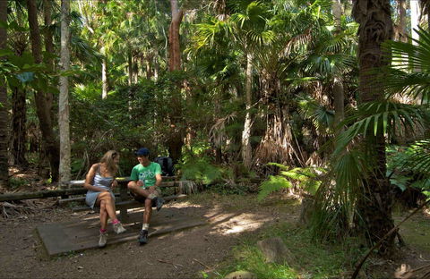 Palms Picnic Area - Sunshine Coast Guide 0