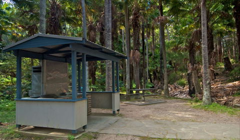 Palms Picnic Area - Sunshine Coast Guide 1