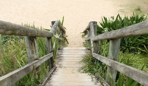 Pebbly Beach To Snake Bay Walking Track - Accommodation Port Macquarie 0