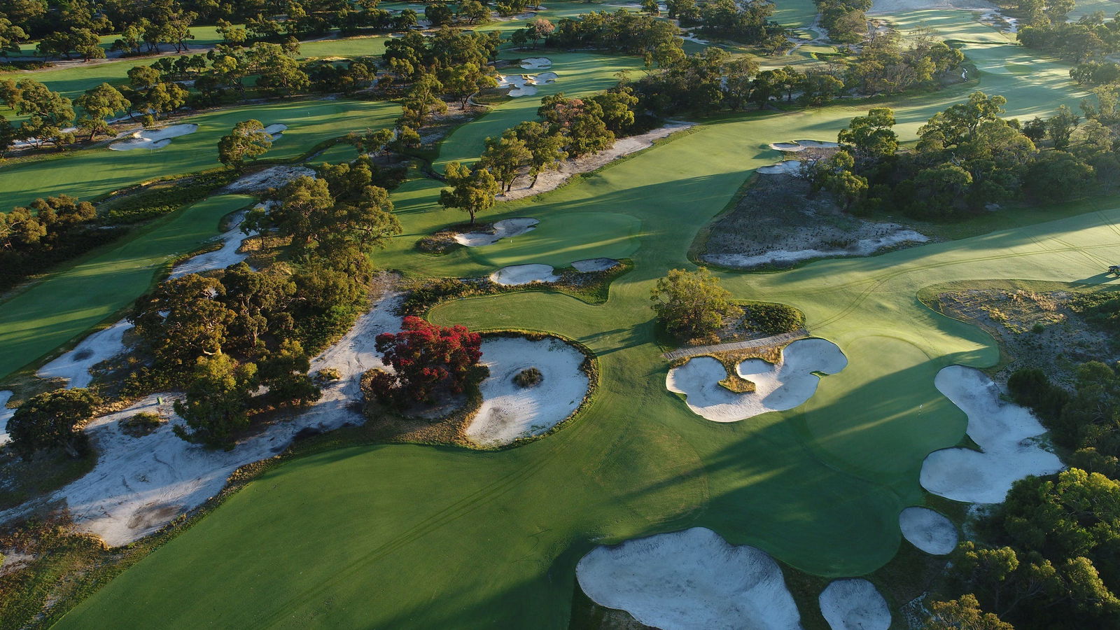 Peninsula Kingswood Country Golf Club Logo and Images