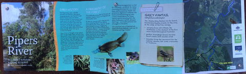 Pipers River Board Walk - Yamba Accommodation 2