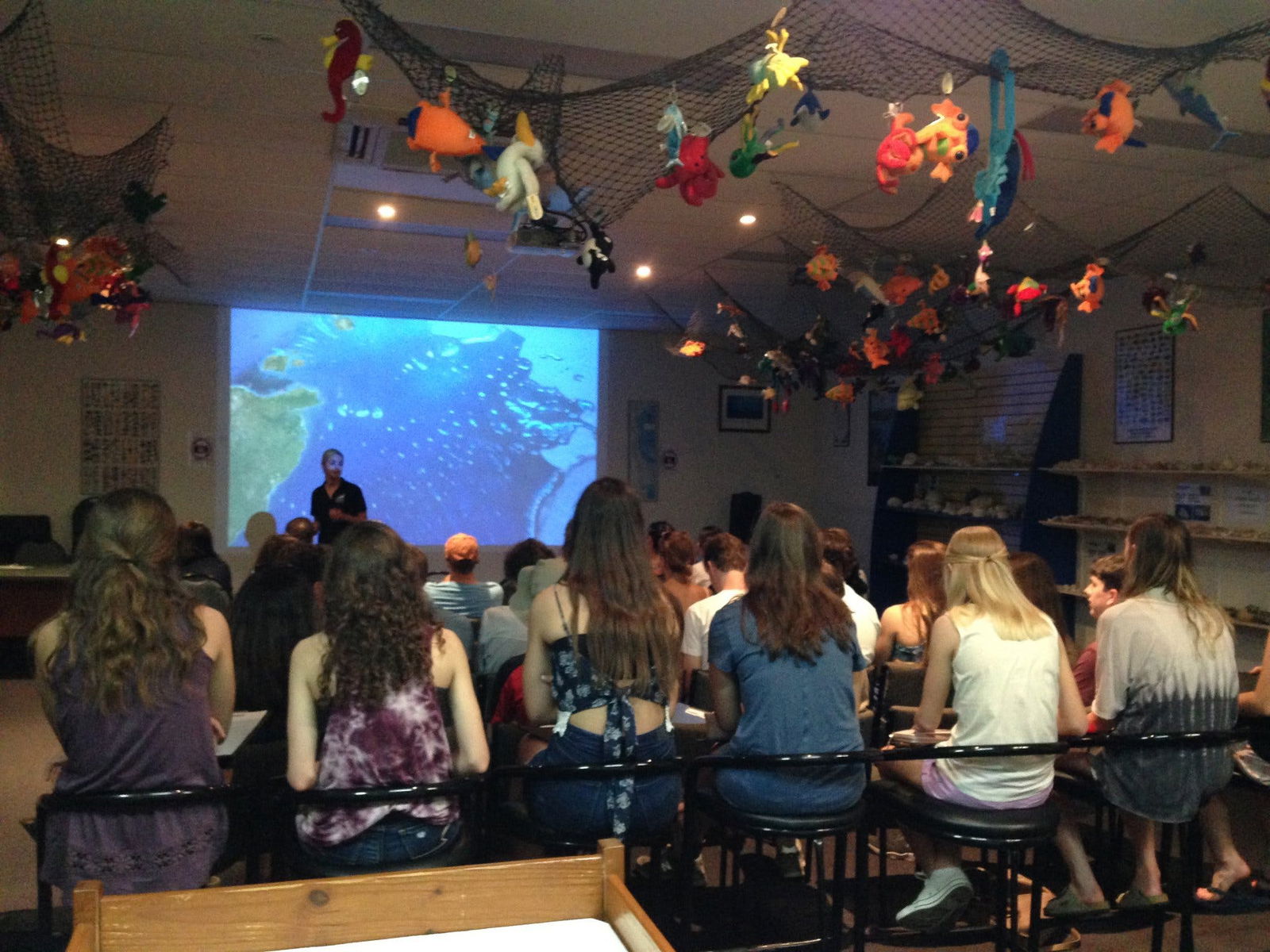 Reef Teach Logo and Images