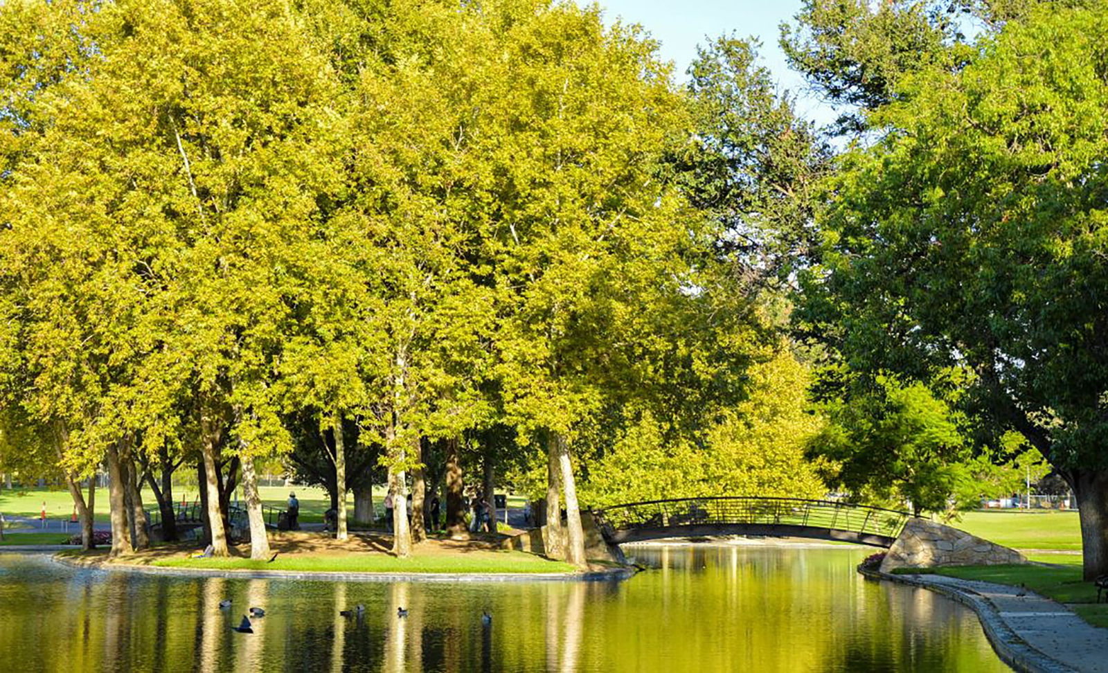 Rymill Park/Murlawirrapurka