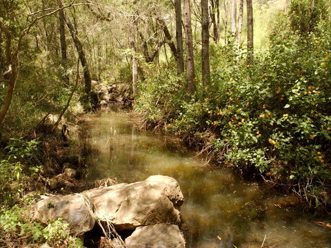 Sandy Creek Track - Accommodation Brisbane 0