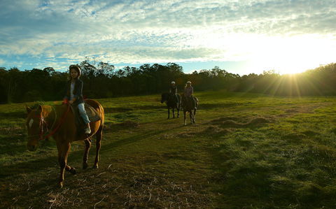 Scenic NSW Horse Riding Centre - Attractions 0