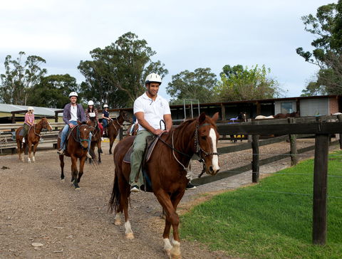 Scenic NSW Horse Riding Centre - Attractions 1