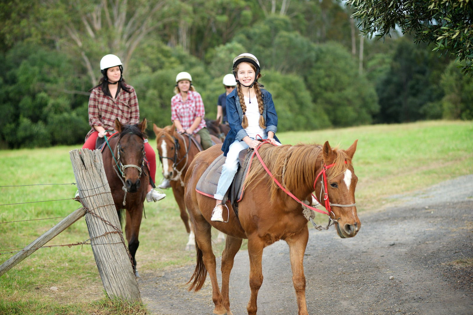 Scenic NSW Horse Riding Centre Logo and Images