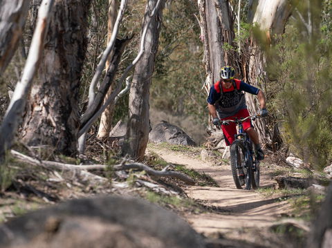 Thredbo Valley Track - Northern Rivers Accommodation 2