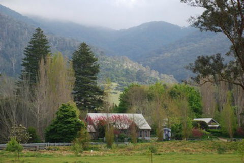 Tilba Tilba - Accommodation QLD 0
