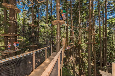 TreeTops Sydney The Hills - Accommodation QLD 0