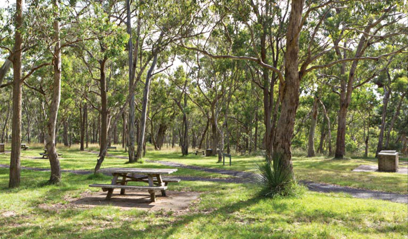 Pallamallawa NSW Casino Accommodation