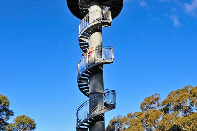 Illawarra Fly Treetop Adventures Treetop Walk Admission Ticket - thumb 5